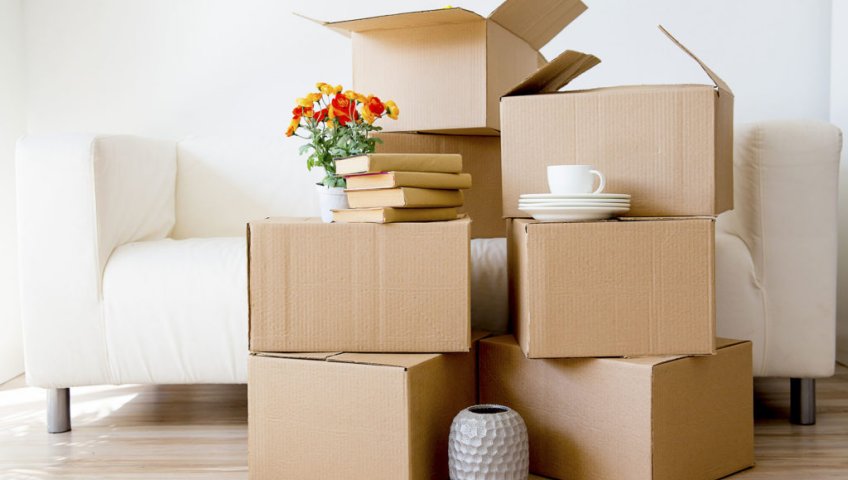 Professional Packers and Movers Hyderabad